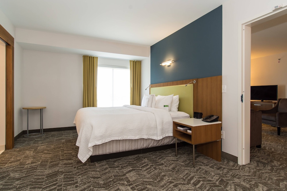 SpringHill Suites by Marriott Charlotte Ballantyne 10/52
