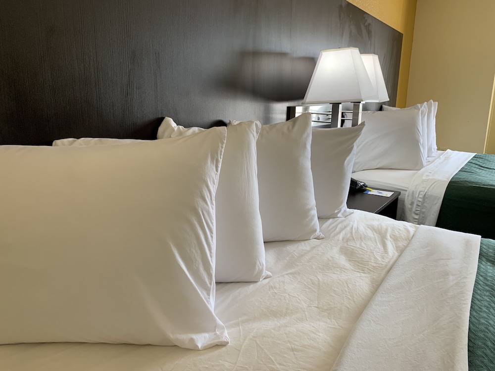 Days Inn And Suites By Wyndham Tampa Raymond James Stadium 26/51