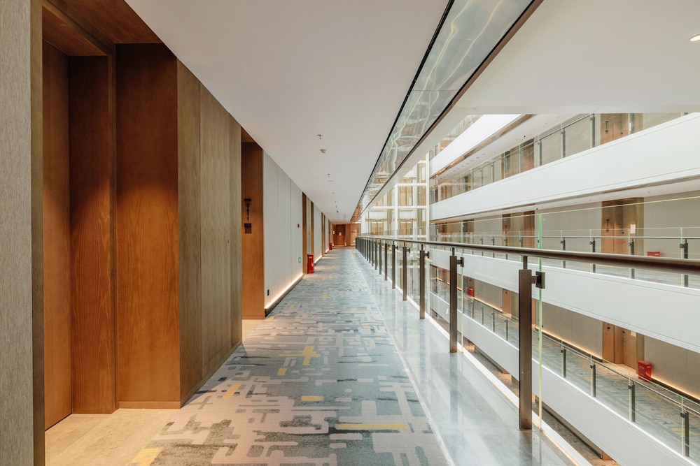 Radisson Hotel Beijing Daxing Airport 36/60
