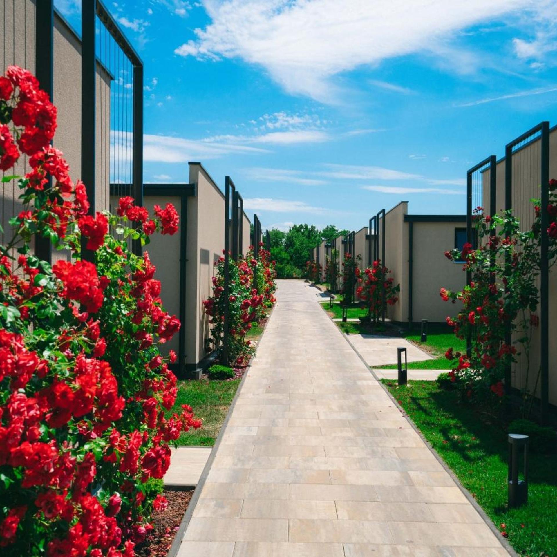 San Servolo Wellness Homes 39/50