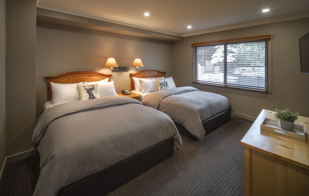 BUFFALO, SUITE, MULTIPLE BEDS, KITCHENETTE