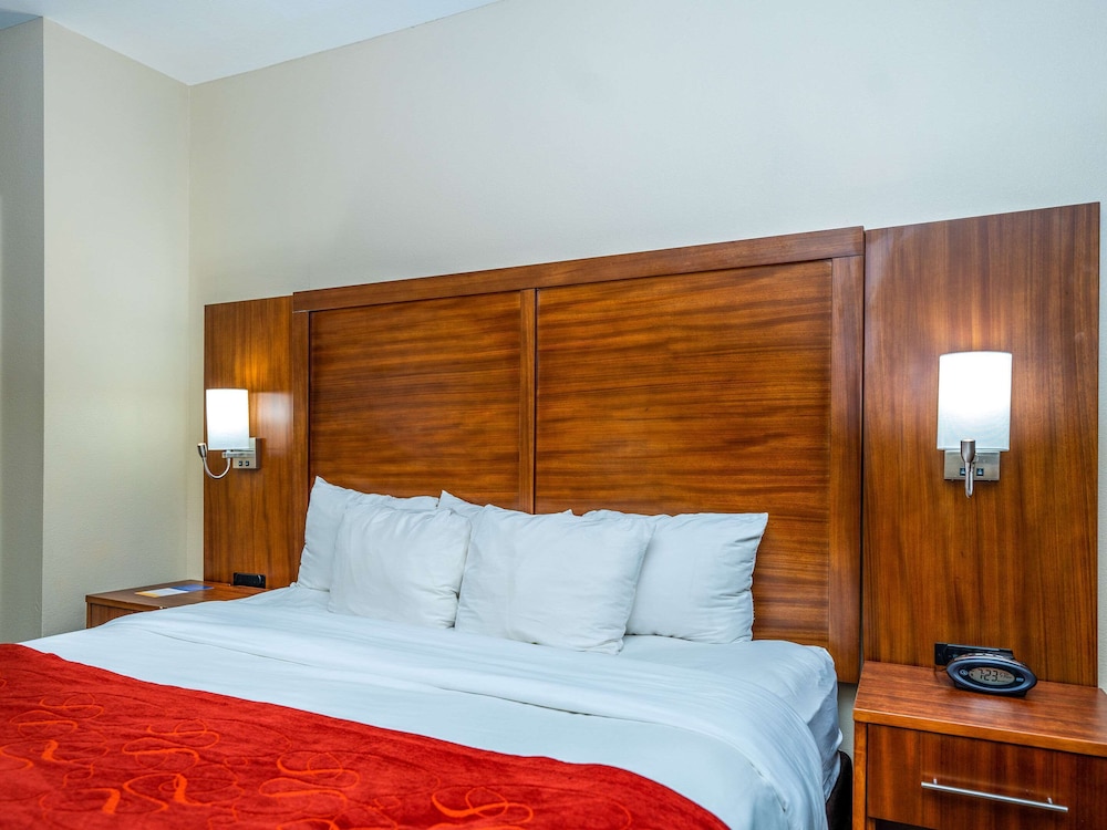 Comfort Suites Old Town Spring, TX 14/44