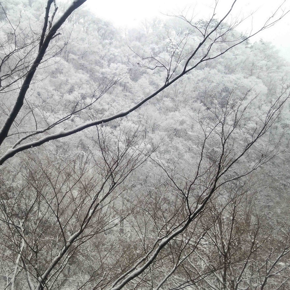 Aizu Ashinomaki Onsen Okawaso 14/44