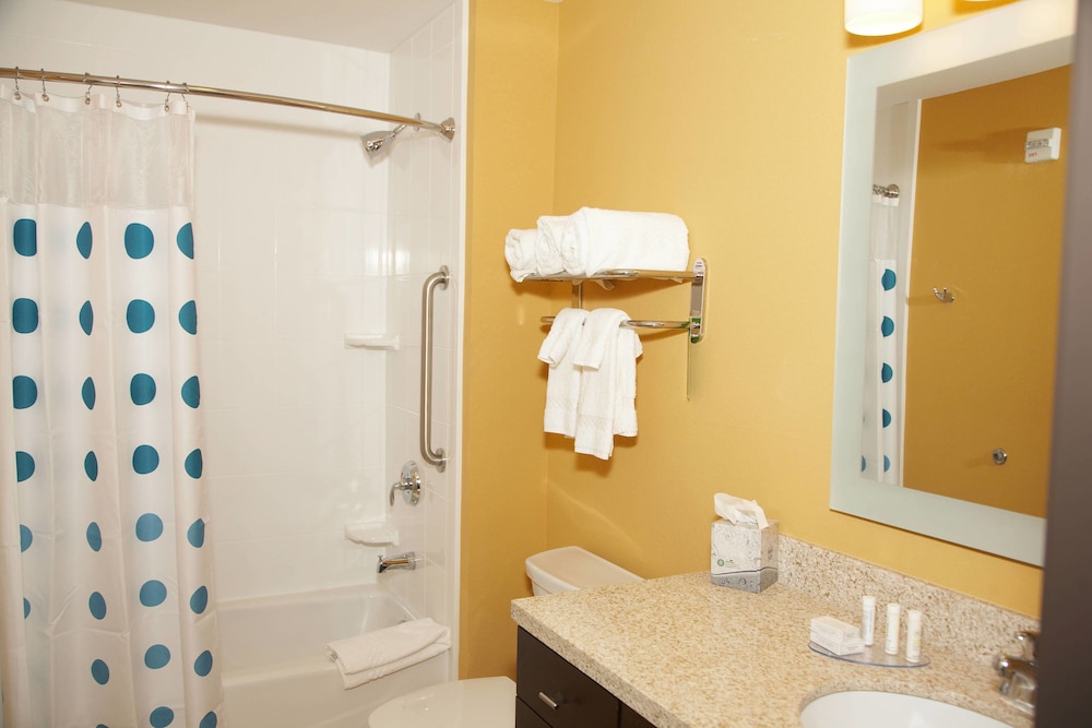 TownePlace Suites by Marriott Hobbs 17/51