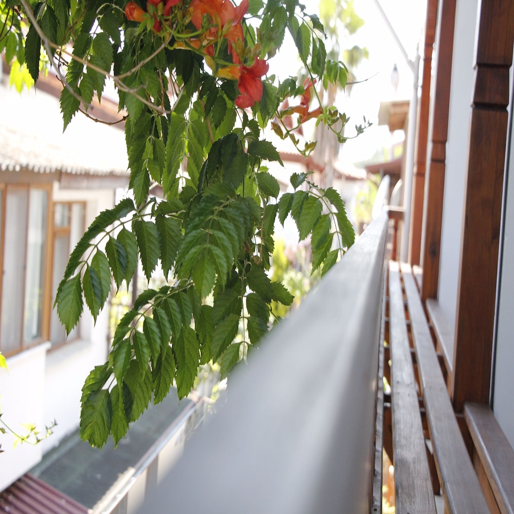 Limon Otel 30/36