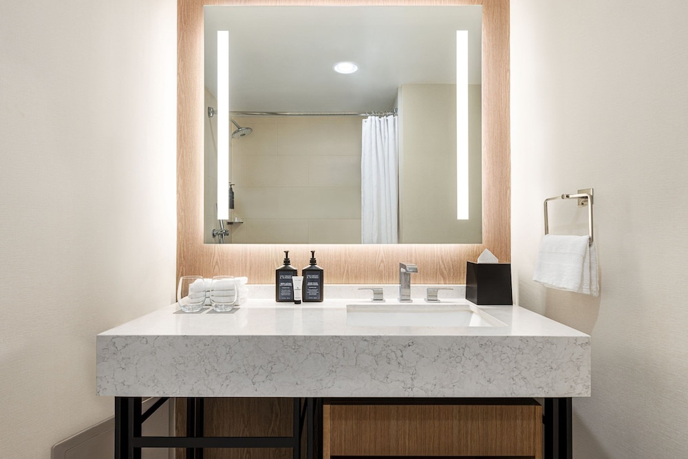 Sheraton Chicago O Hare Airport Hotel 14/73