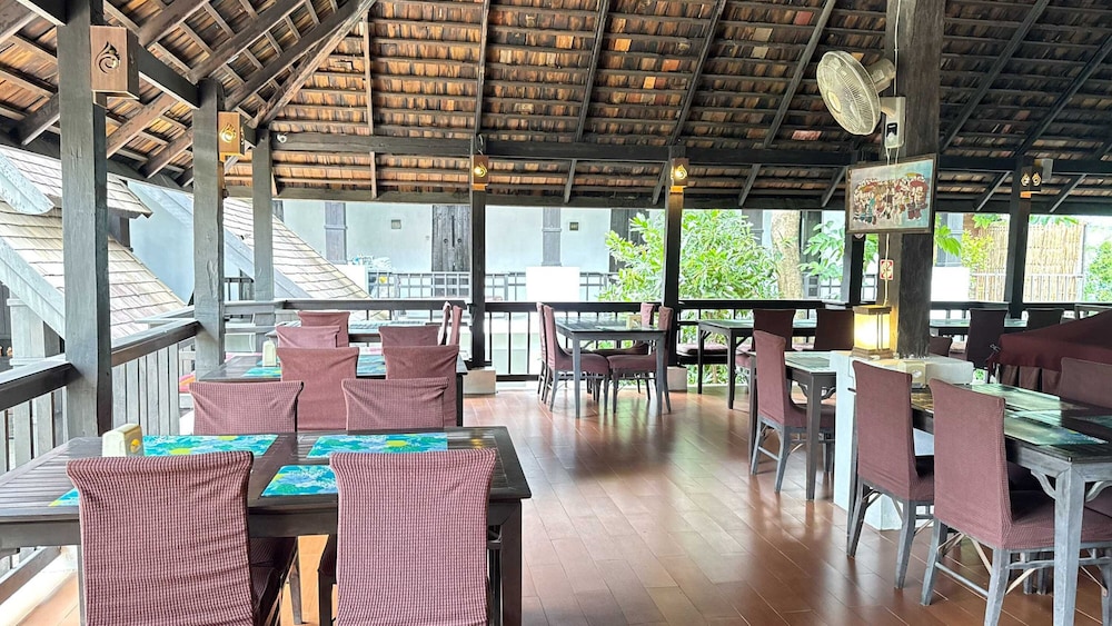 Rainforest Chiangmai Hotel 62/81