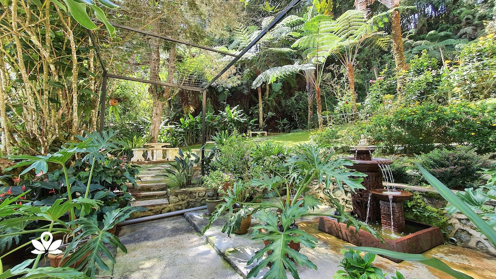 Highlanders Garden Guesthouse 53/62