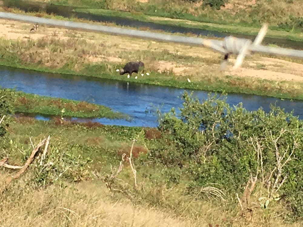 Doringpoort Safari Lodge(PTY)LTD 31/50