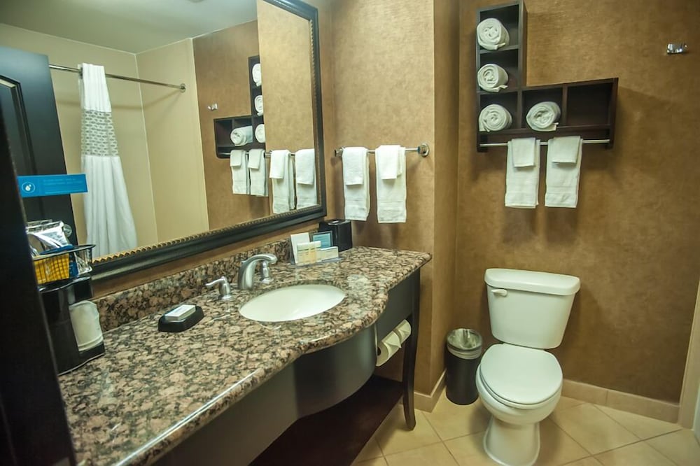 Hampton Inn & Suites Palestine 18/31