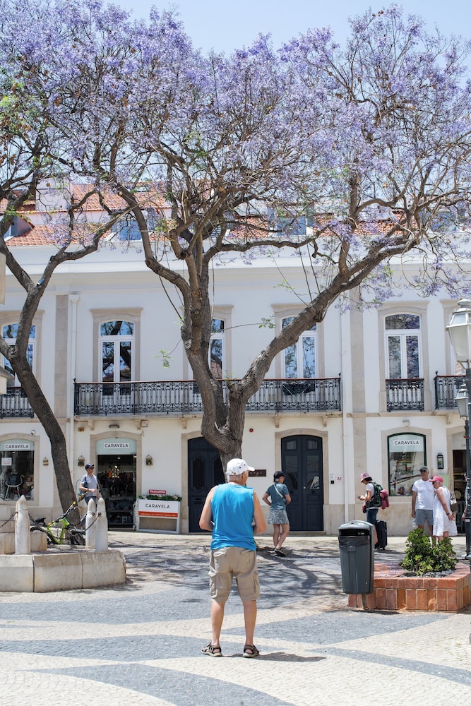 Casa Margo 4/50