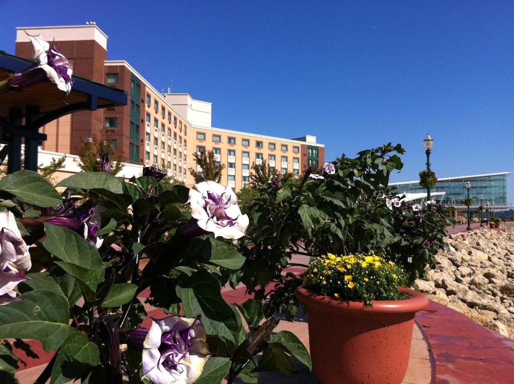 Grand Harbor Resort 5/43