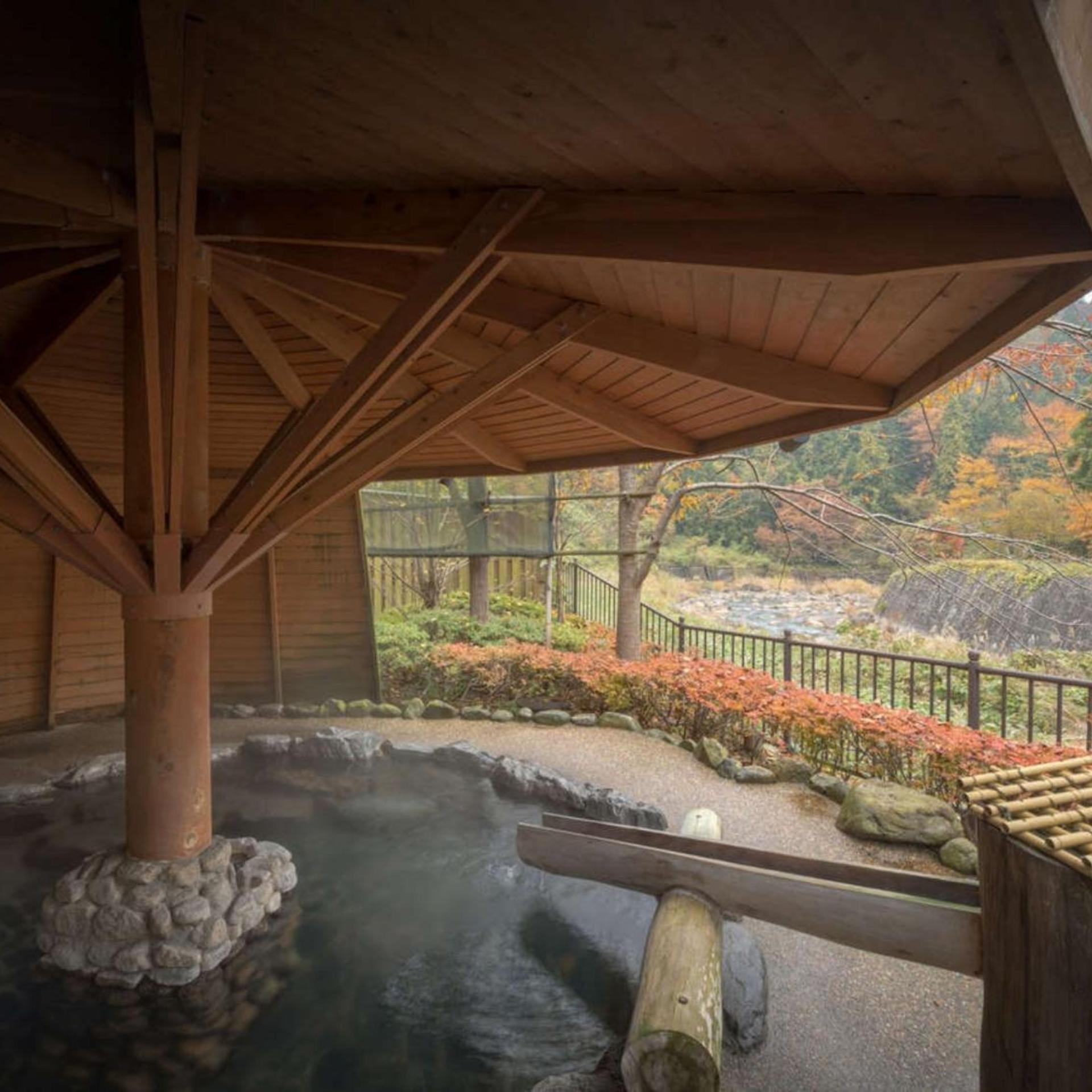 Tsuchiyu Onsen Harumiya Ryokan 32/54