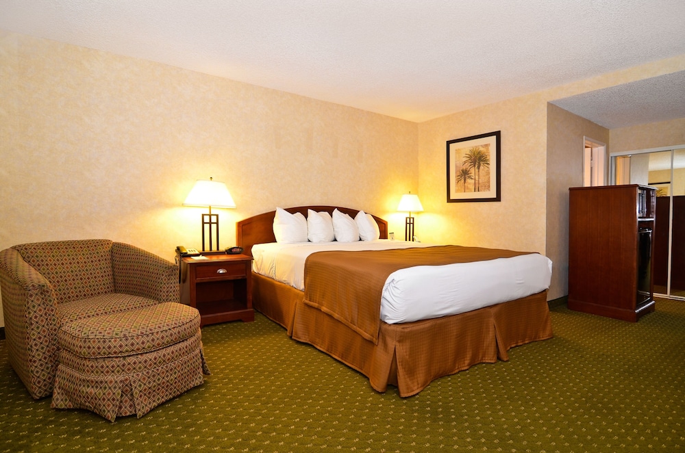 Best Western Date Tree Hotel 23/49