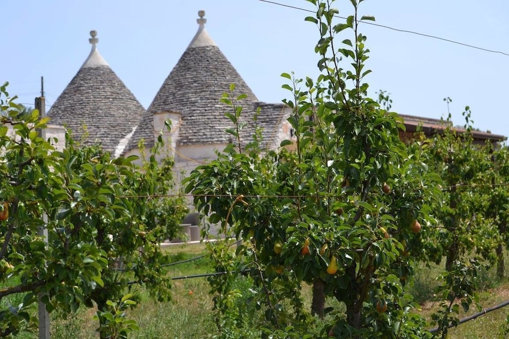 Masseria Torricella 24/34