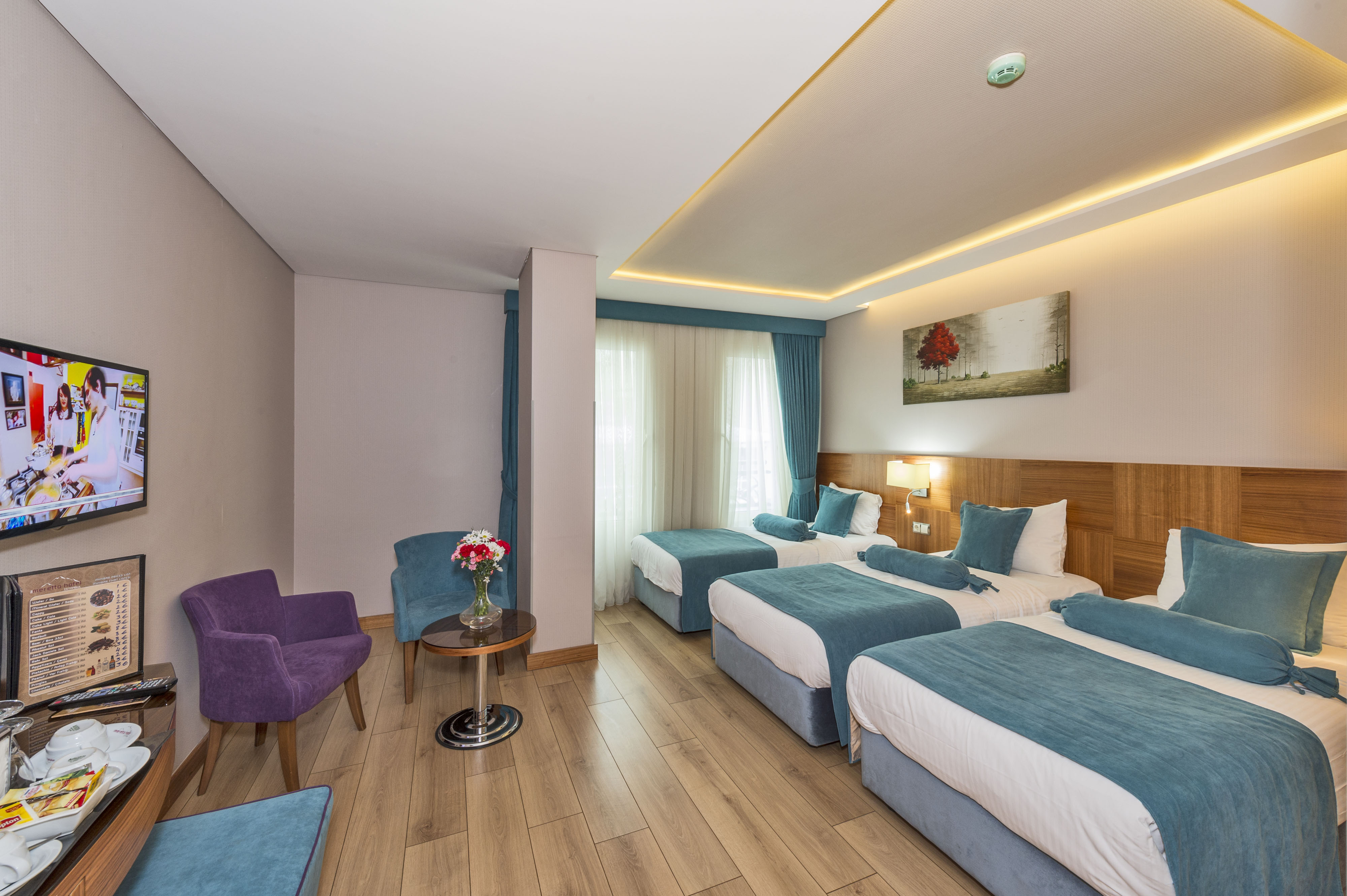 غرفة قياسية ثلاثية، The Meretto Hotel Istanbul 3/10