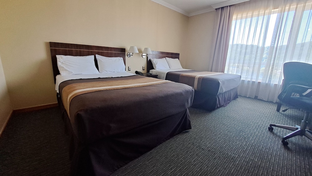 Hotel Diego de Almagro Temuco 14/41