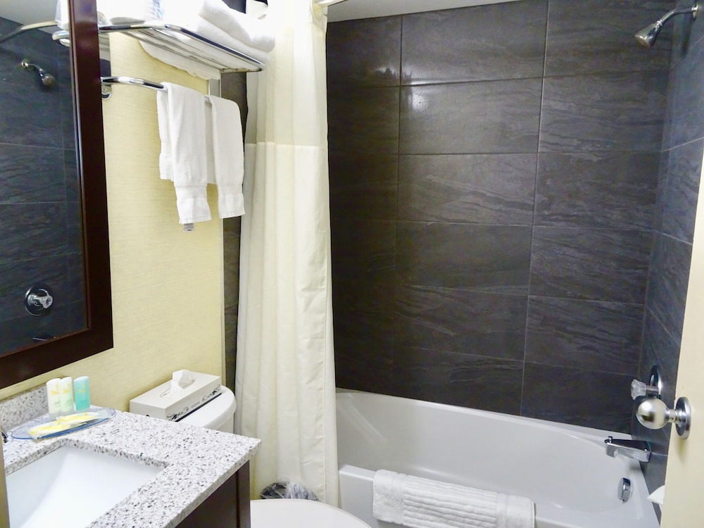 Quality Hotel Dorval Aeroport 17/59