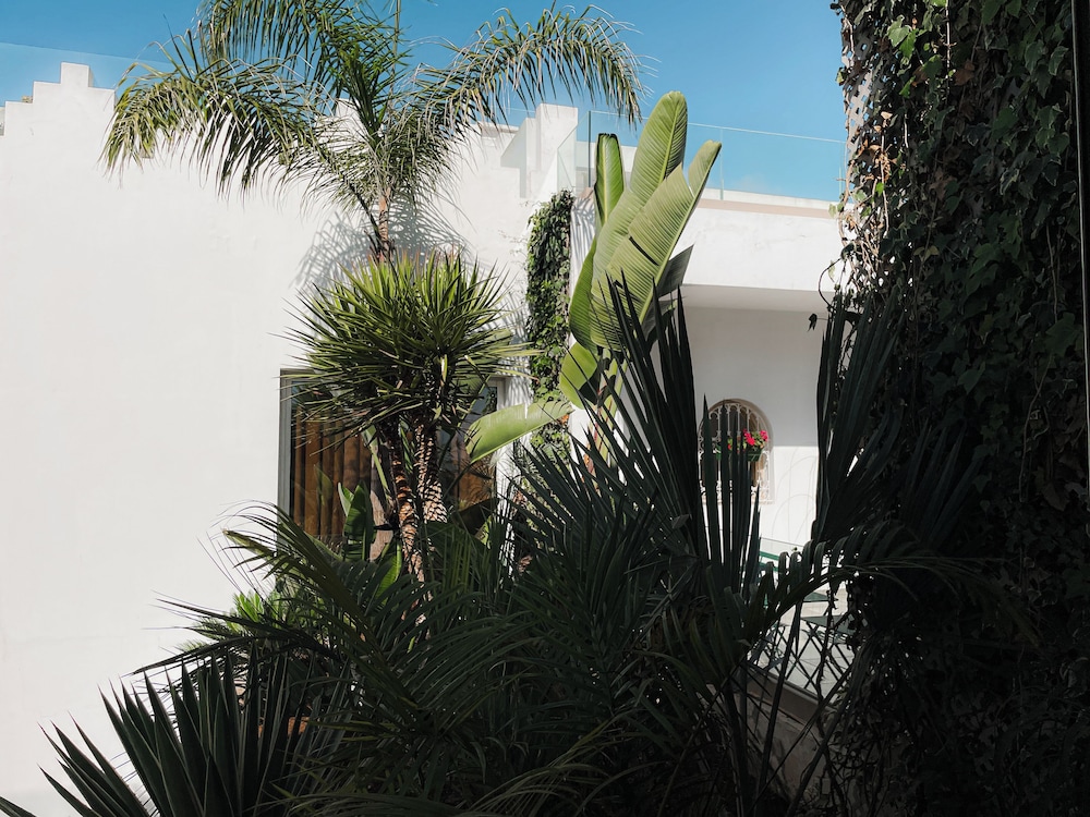 Riad Zyo 47/50
