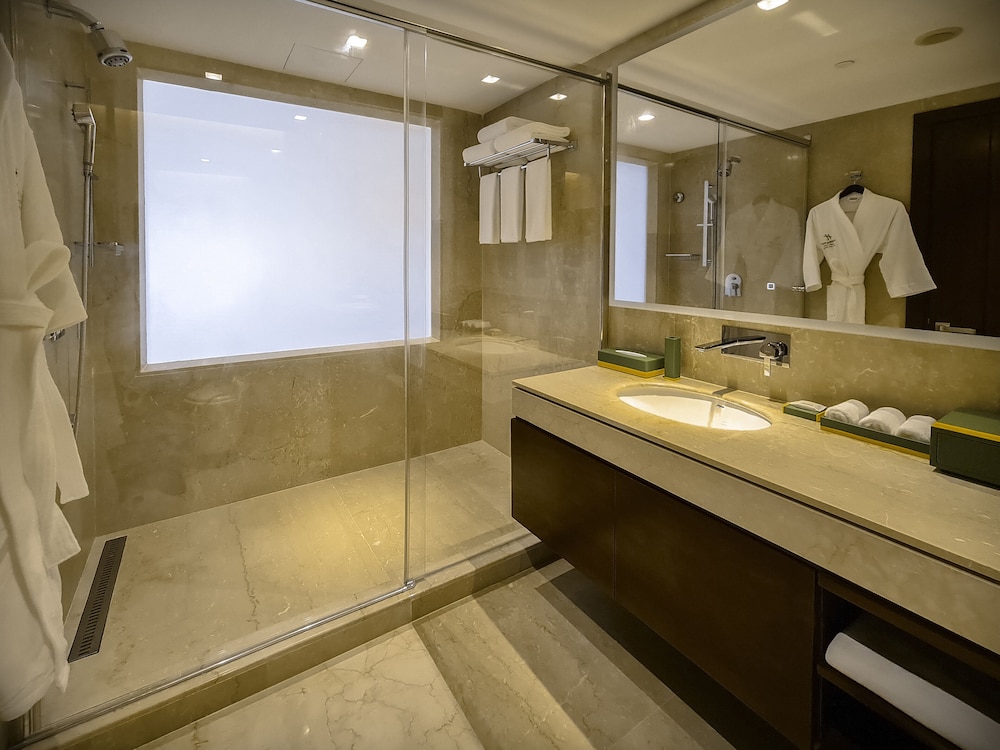 Holiday Inn Dhaka City Centre 20/48