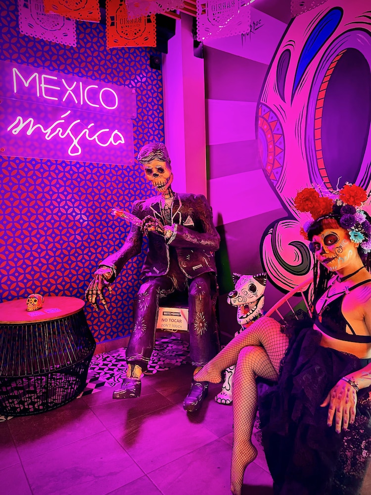 Barrio Downtown Mexico City Hostel 44/50