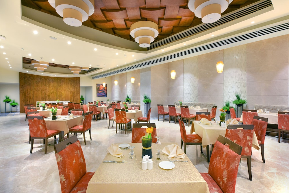 TOLIP Resort El Galala Majestic 36/50