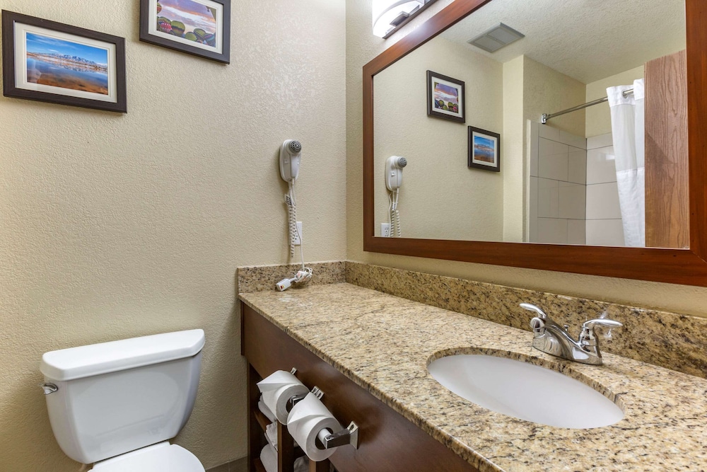 Comfort Inn & Suites Alameda At Albuquerque Balloon Fiesta Park 8/30