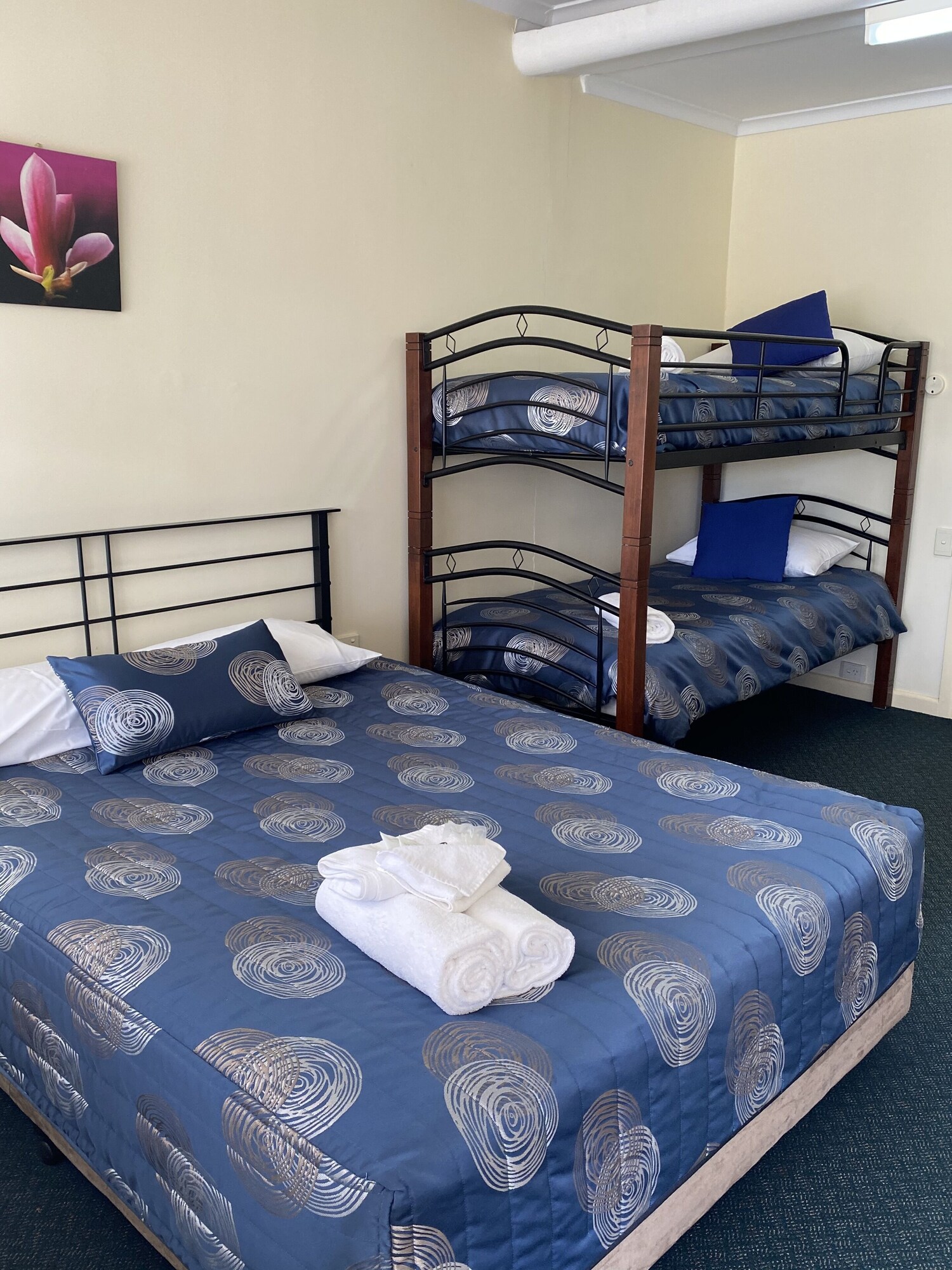 2 Rooms, Plus, Shared, 1 Queen and 1 Bunk Bed