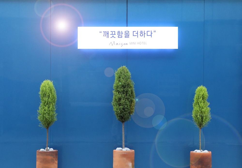 Maison Mini Hotel & Guesthouse photo3