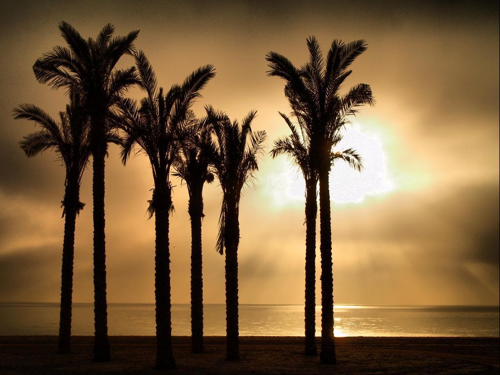 Estrella de Mar 9/15