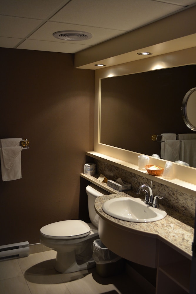 Hotel L Oiseliere Montmagny 30/60