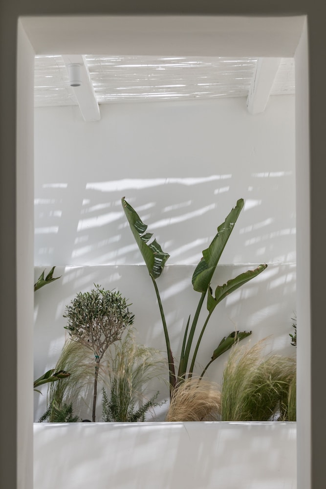 Arocaria Hotel Mykonos 5/49