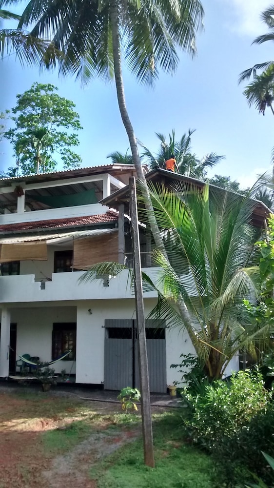 Jungleside House 45/50