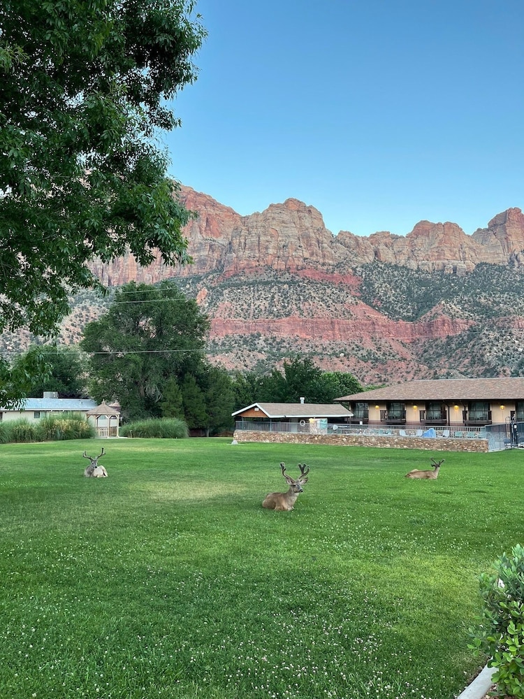 Bumbleberry Inn 63/67