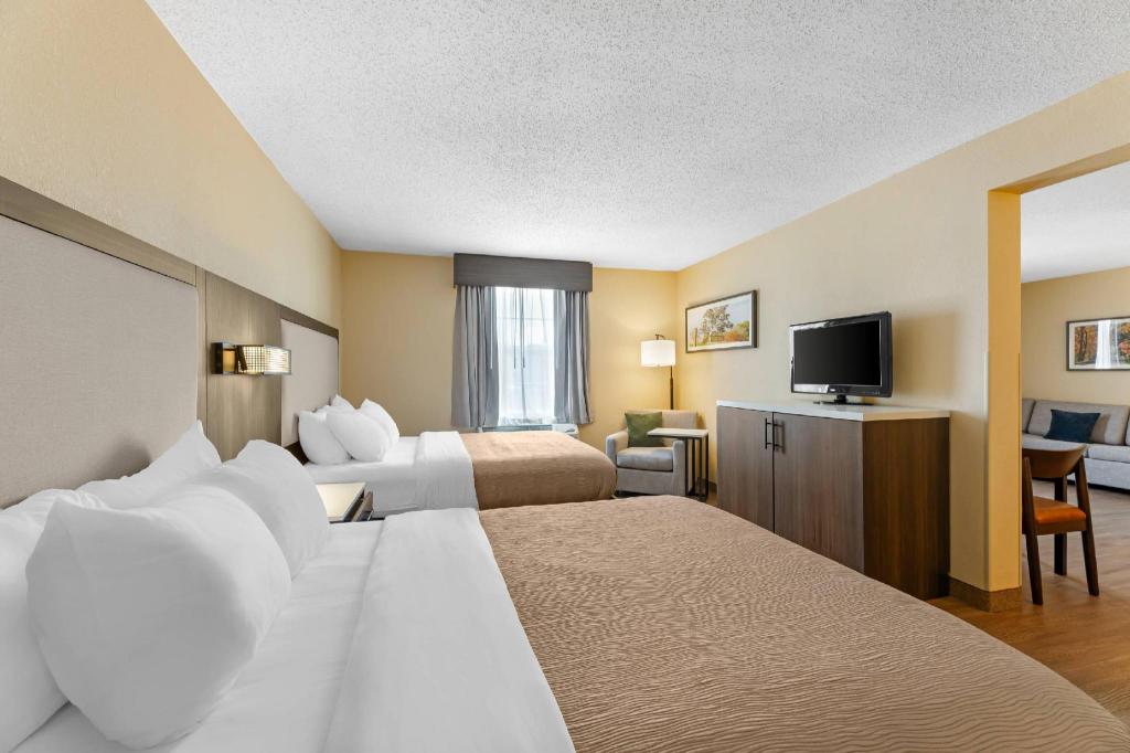 Suite, 2 Queen Beds