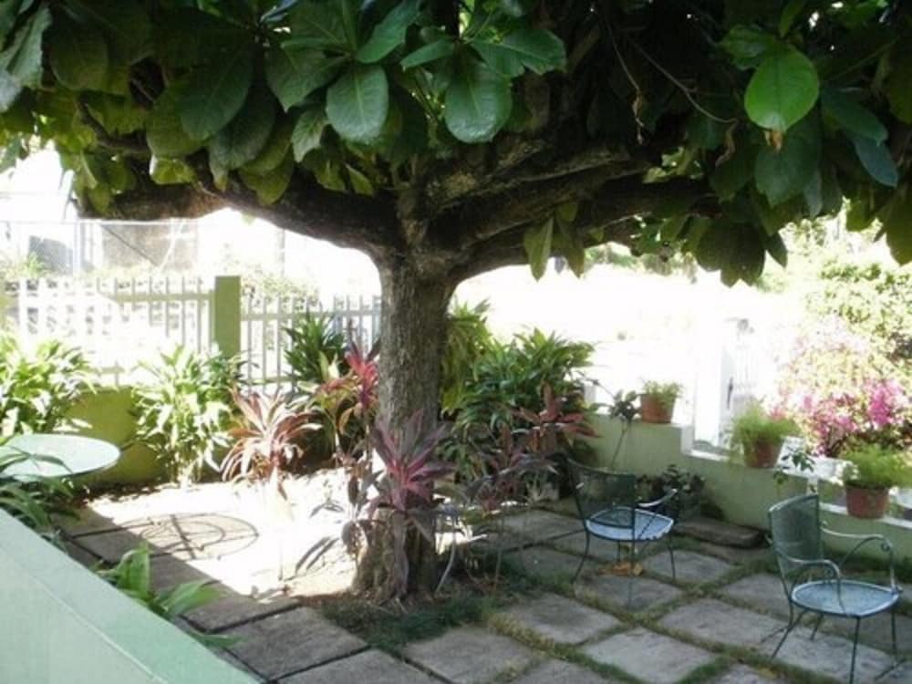 Pineapple Court Hotel 32/36