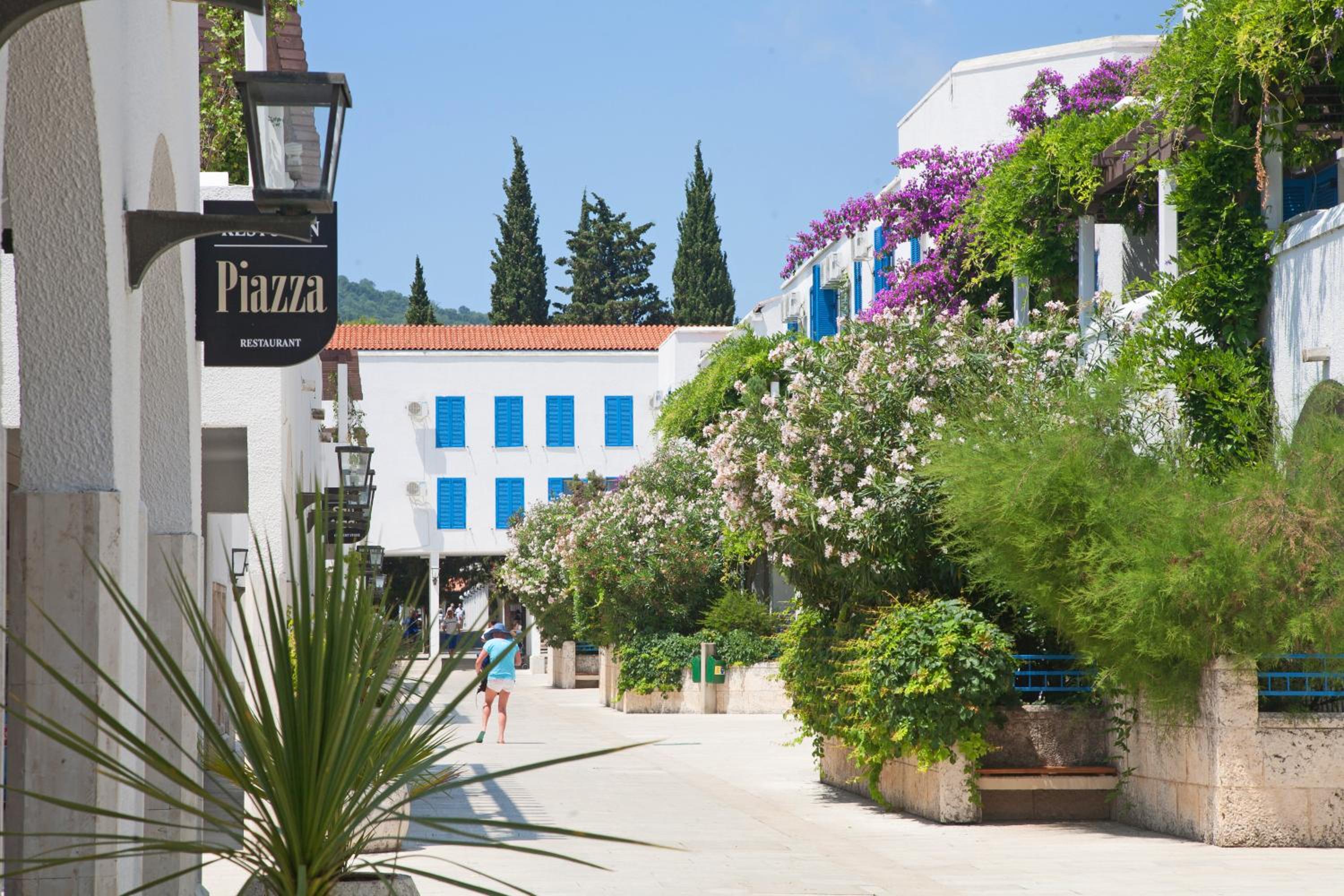 Slovenska Plaza 4 51/62
