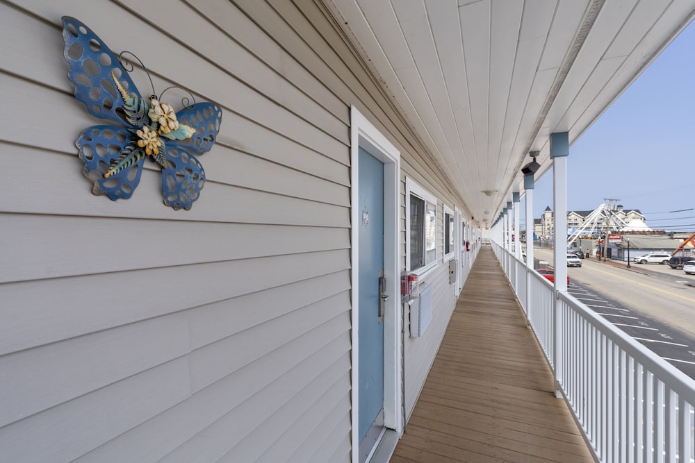 Mt Royal Motel 1/50