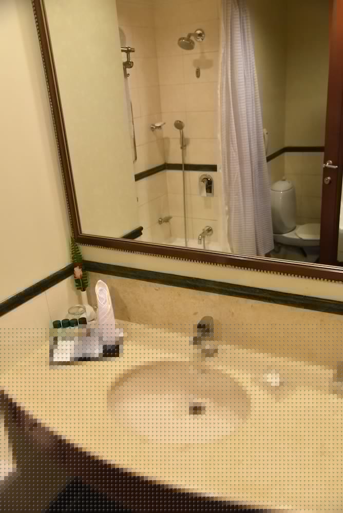 Radisson Hotel Varanasi 14/73