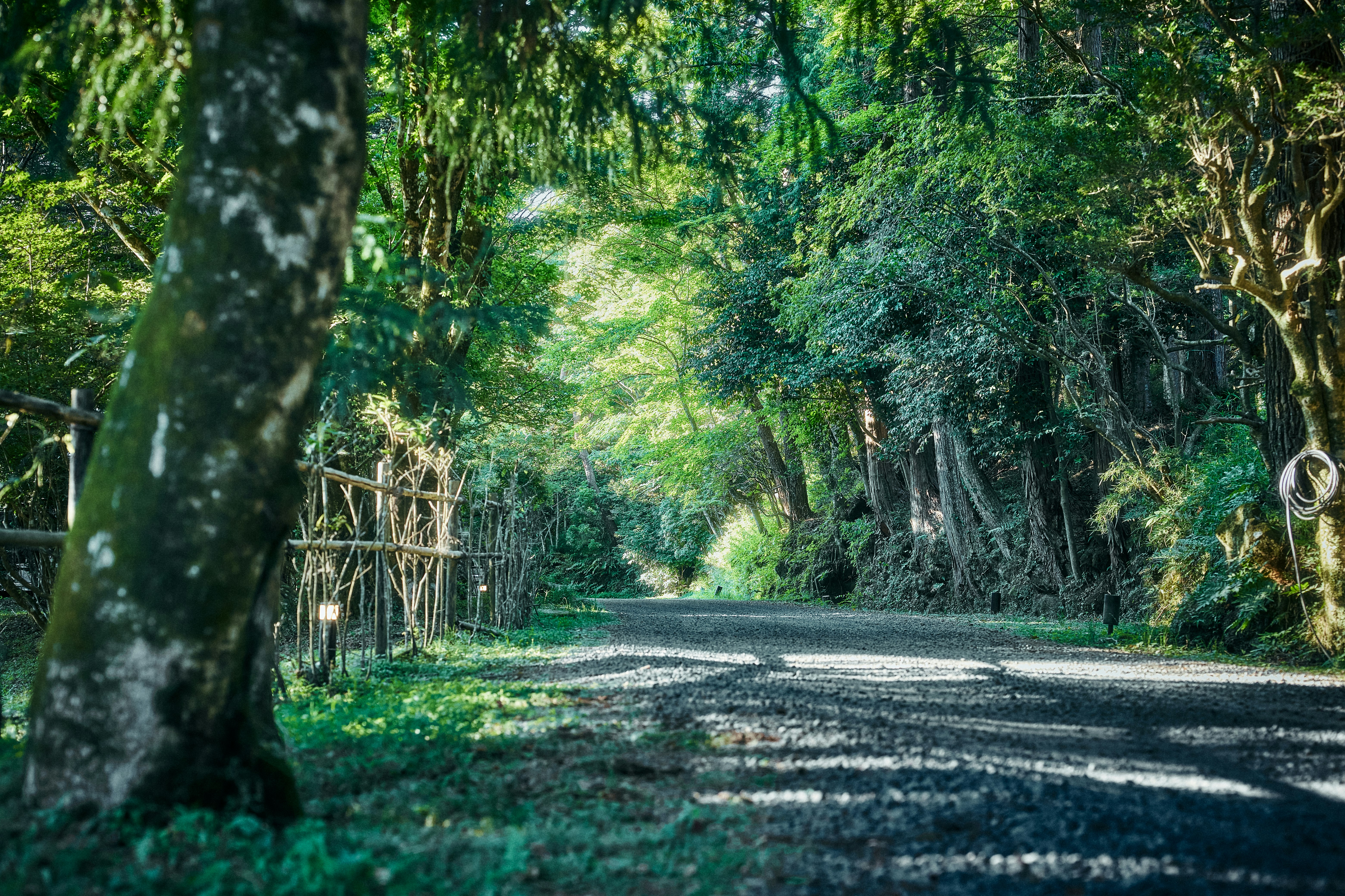 Hakone Retreat villa 1/f 34/36