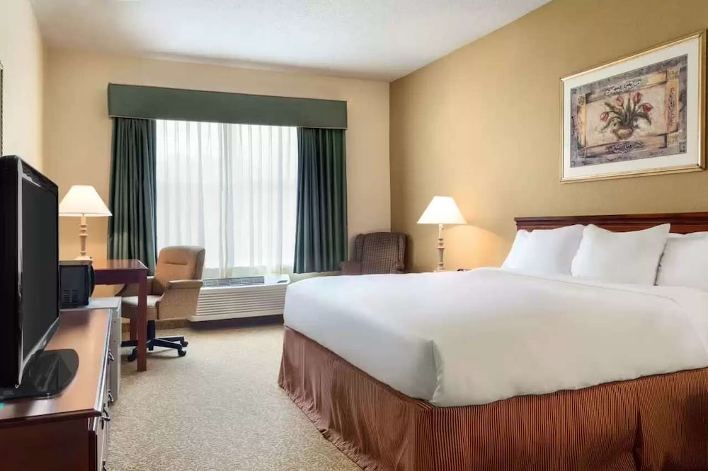 Suite, King Bed