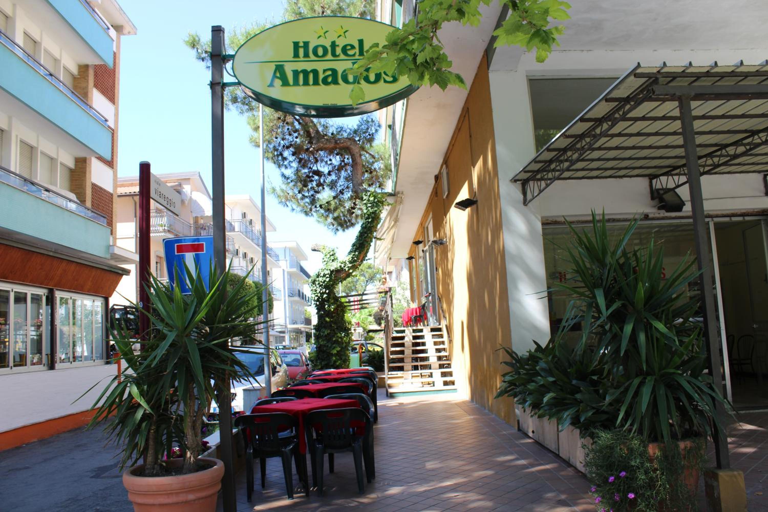 Hotel Amados 4/49