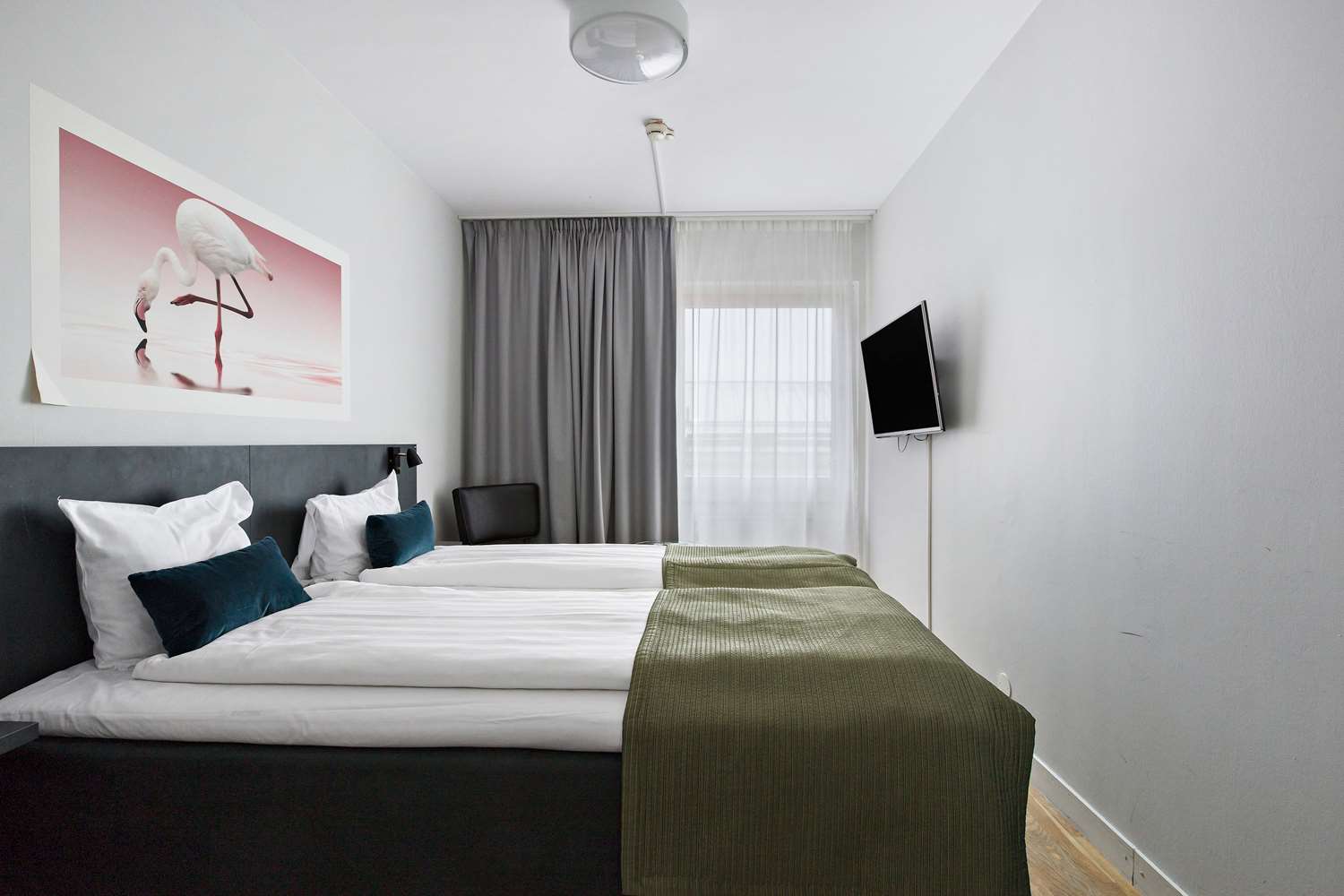 Best Western Plaza Hotel 12/65