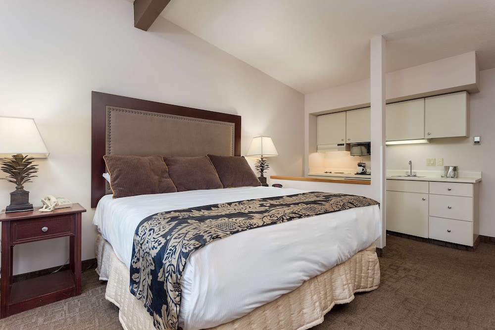 EXECUTIVE, KING BED, RIVER VIEW, KITCHENETTE