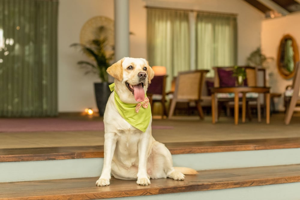 Aurika, Coorg - Luxury by Lemon Tree Hotels 24/45
