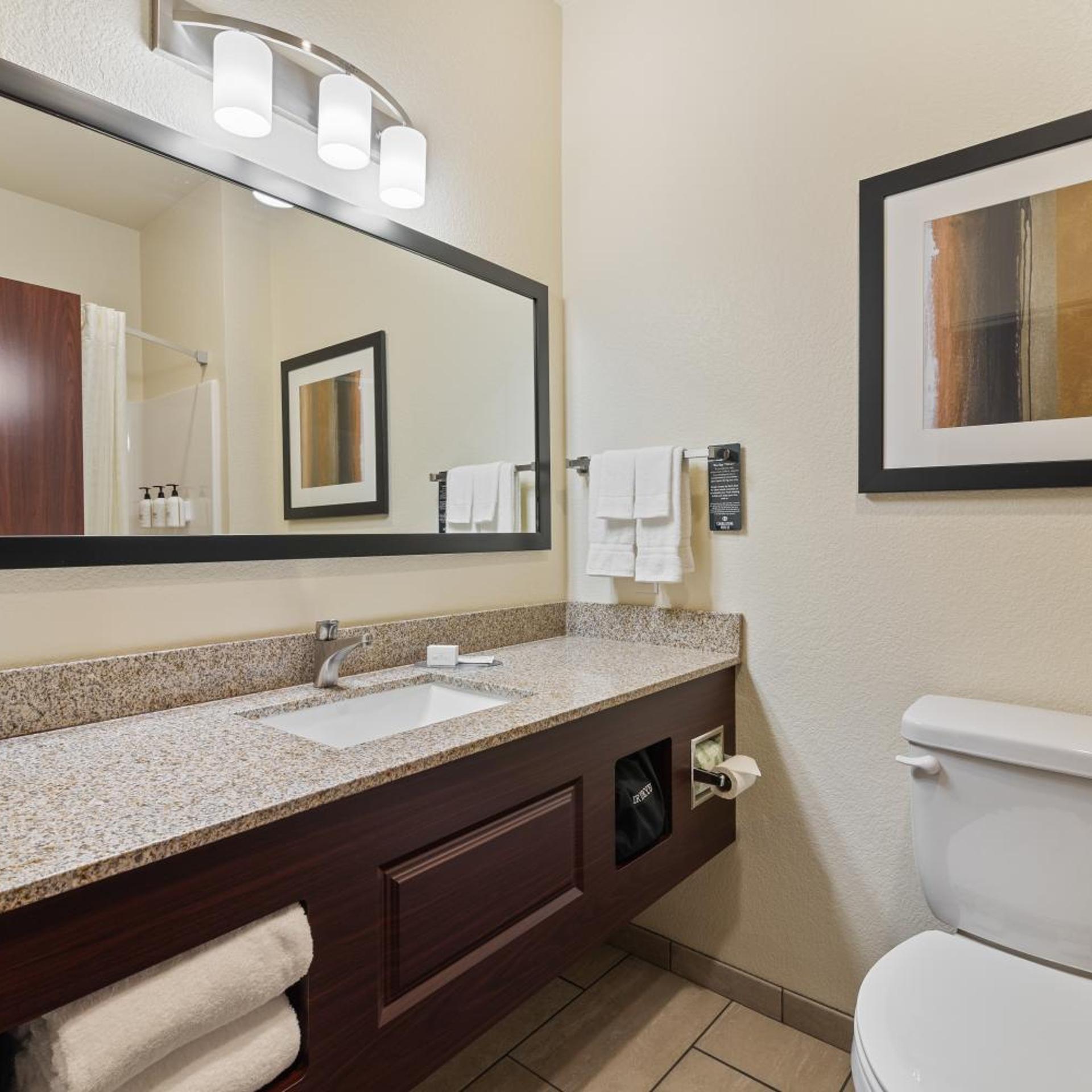 استوديو بسرير كوين، Cobblestone Hotel & Suites - Alpine 5/5