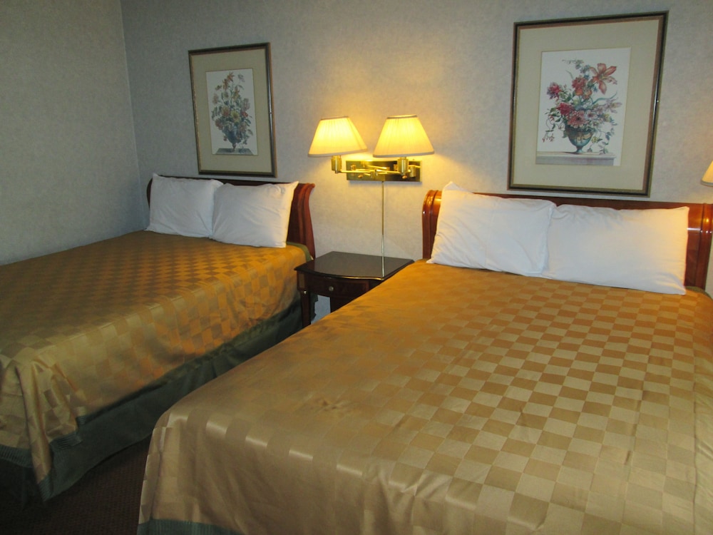 Discovery Inn 9/43
