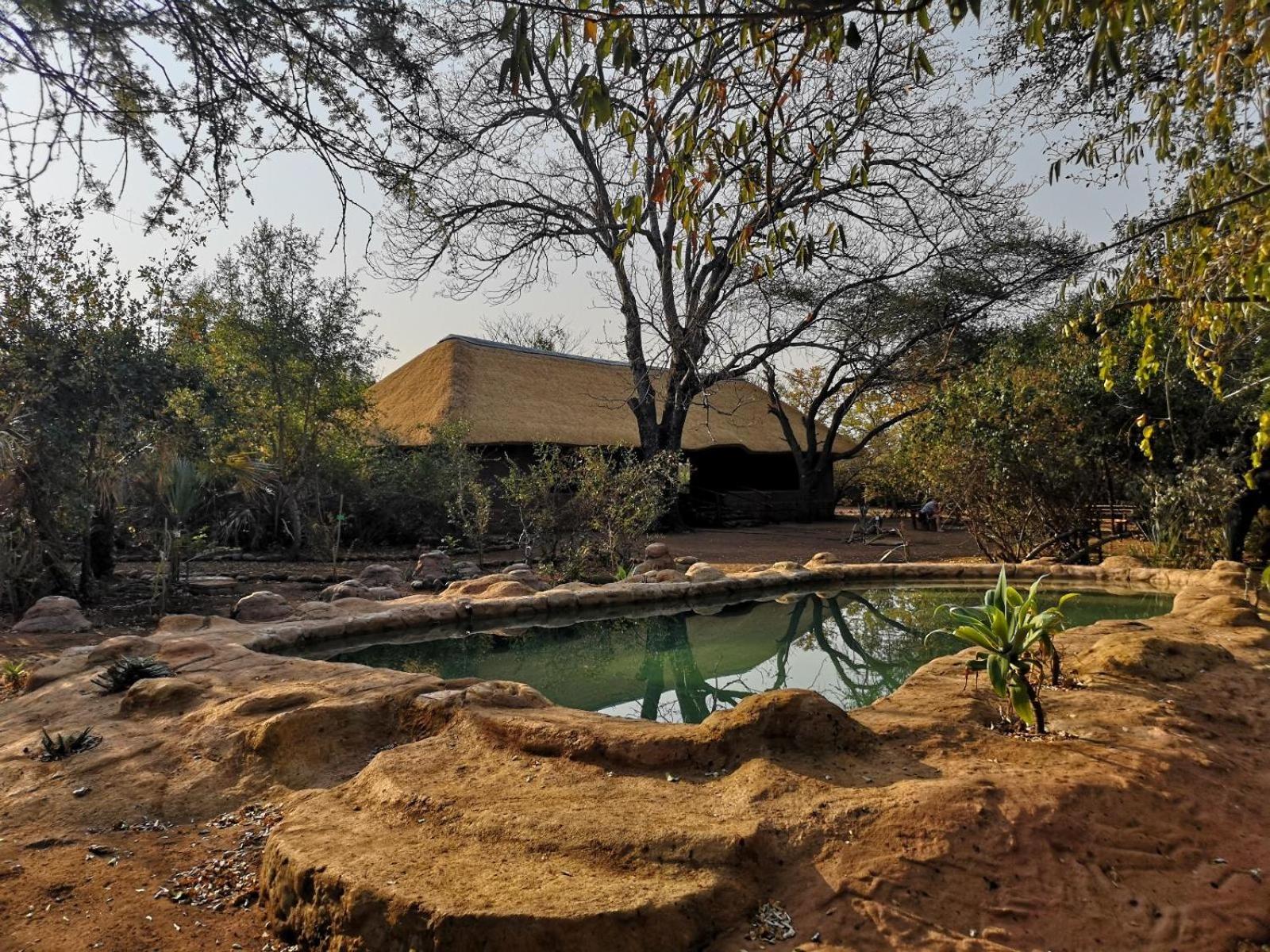 Nthakeni Bush & River Camp 7/14