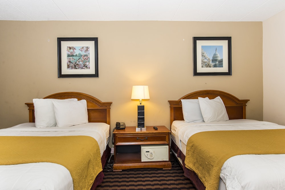 Garden Inn 19/26