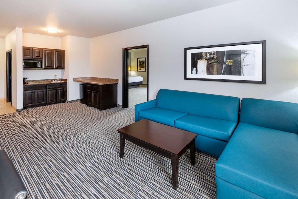 La Quinta Inn and Suites by Wyndham Mt. Pleasant 53/72